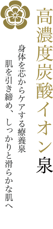 高濃度炭酸イオン/風呂/炭酸ガス/心臓の湯