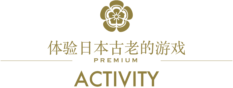 日本古来の遊びを楽しめる/PREMIUM/ACTIVITY