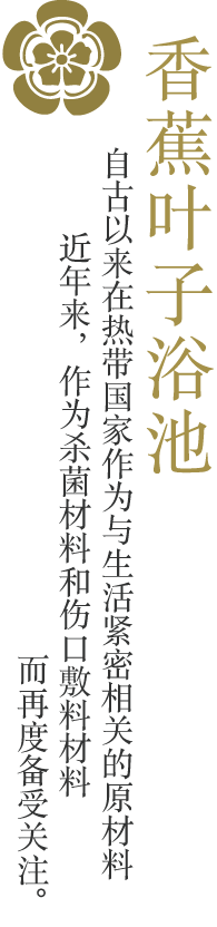 バナナ葉風呂/古くから熱帯地域の国では暮らしに密着した素材/近年、滅菌材・創傷被覆材としても再注目