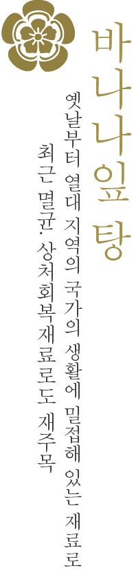 바나나잎 탕/옛날부터 열대 지역의 국가의 생활에 밀접해 있는 재료로/최근 멸균・상처회복재료로도 재주목