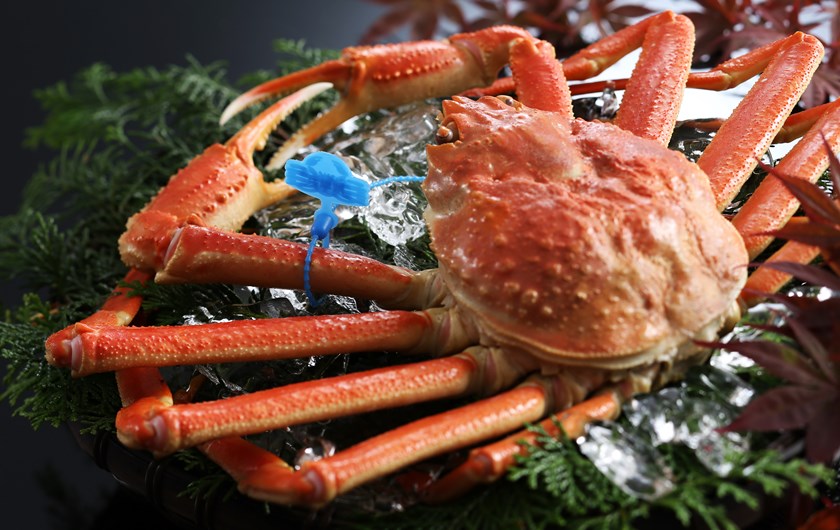 日本海産のタグ付きカニ料理は3 10まで 公式 ともいきの国 伊勢忍者キングダム 世界一の江戸庭園と日本一の園芸城下街