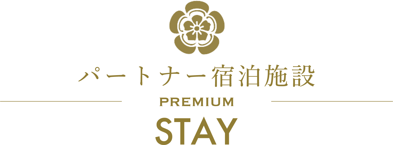 職人の匠の技に触れる/PREMIUM/SHOPPING